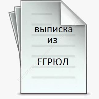 Изображение данные выписки из ЕГРЮЛ.