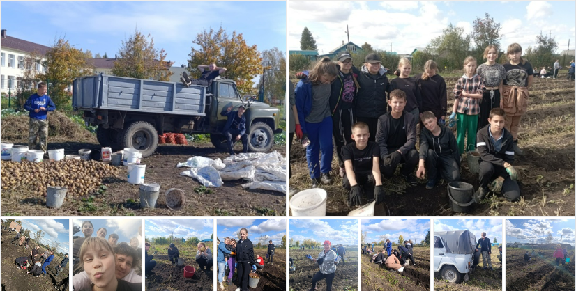 Антошка, Антошка, пойдём копать картошку!.