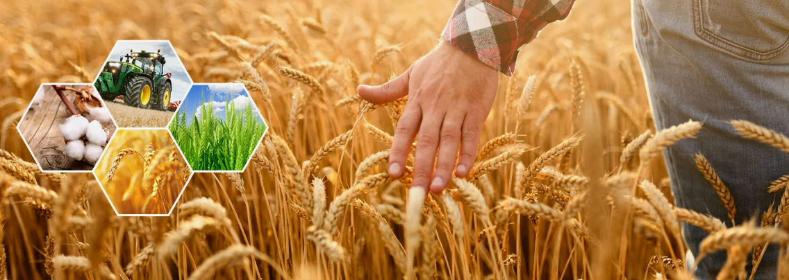 Экскурсия в мир сельского хозяйства с ребятами из медиа-центра Голуметской школы Черемховского района!.